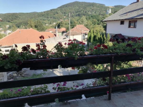 Apartman Veskovic